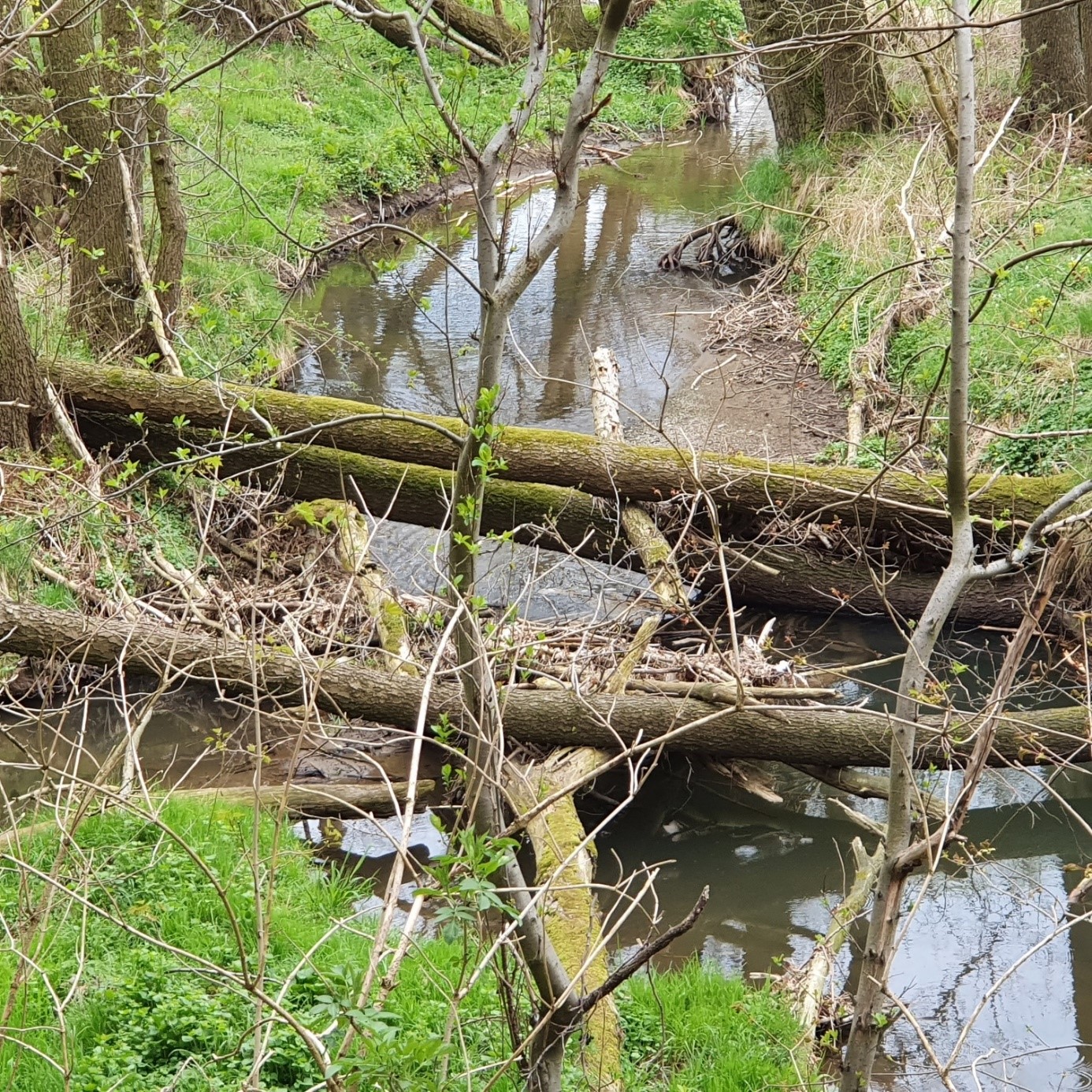 Unberührte Natur