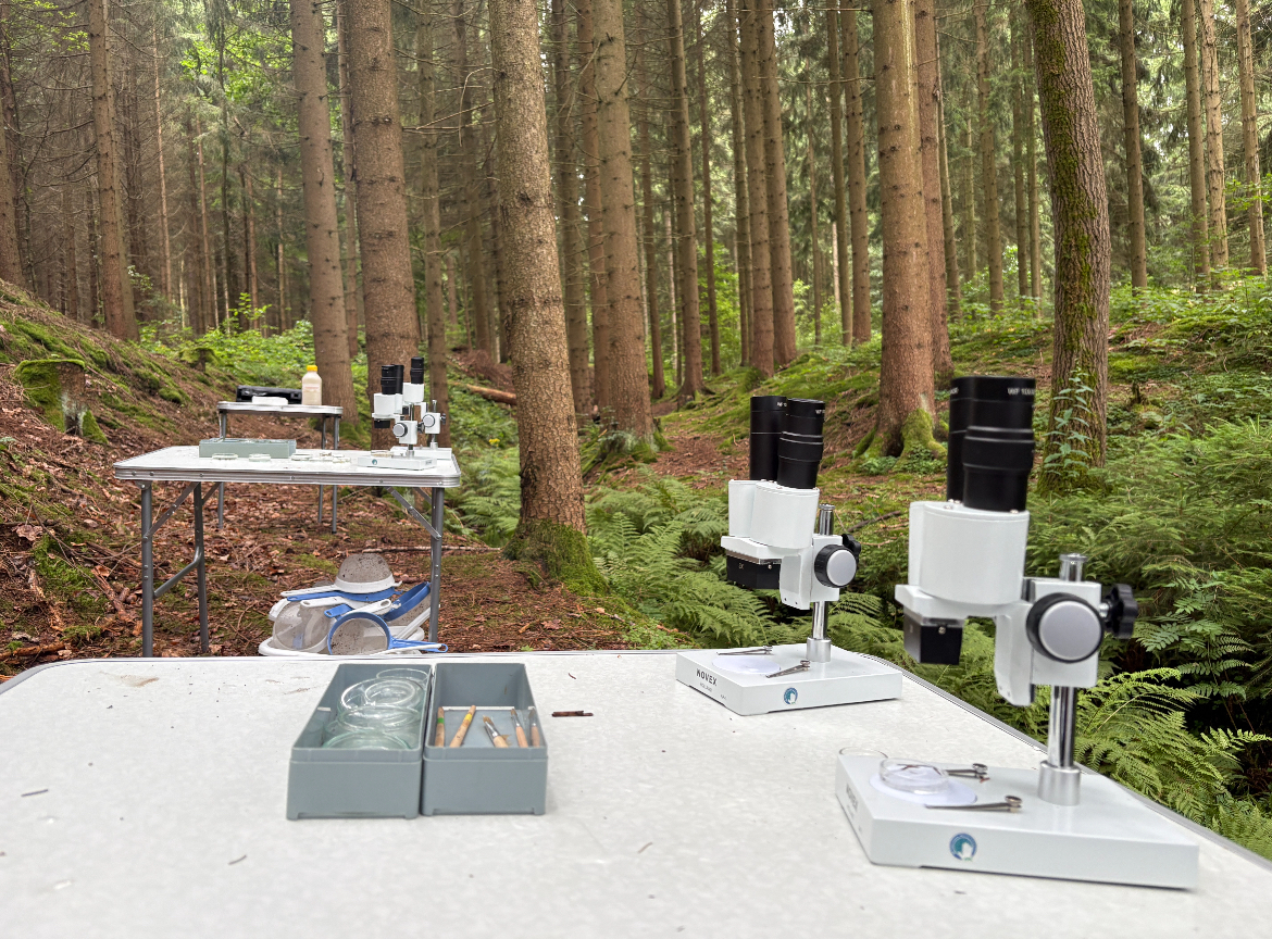 Der Wald ist das schönste Klassenzimmer!