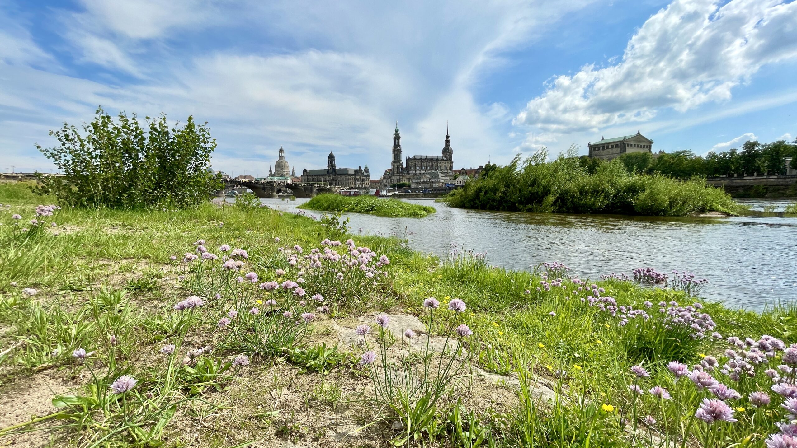Gewässerführung Dresden: Geheimnisse der Wilden Elbe entdecken